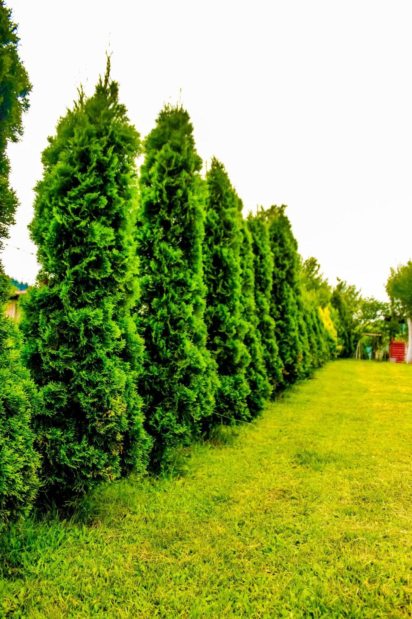 Villa Usivak For Green Quiet Holiday Near Sarajevo#Travellerawards2025 외부 사진